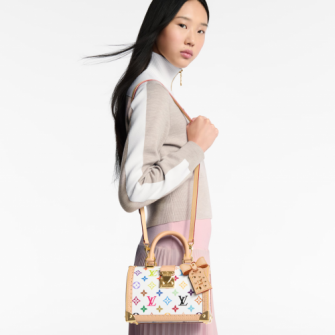 LOUIS VUITTON 루이비통 스피디 트렁크 SPEEDY TRUNK 20 M27833