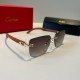 Cartier 까르띠에 선글라스 #251161603