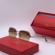 Cartier 까르띠에 선글라스